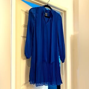 DKNY Women’s Pleat Blue Dress (US 4)